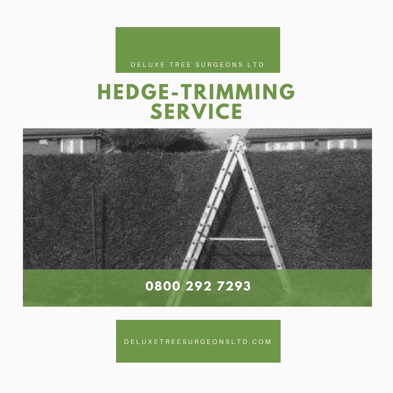 DeluxeTree's tweet image. Give us a call for a no hassle quotation! #hedgecutting #northeast