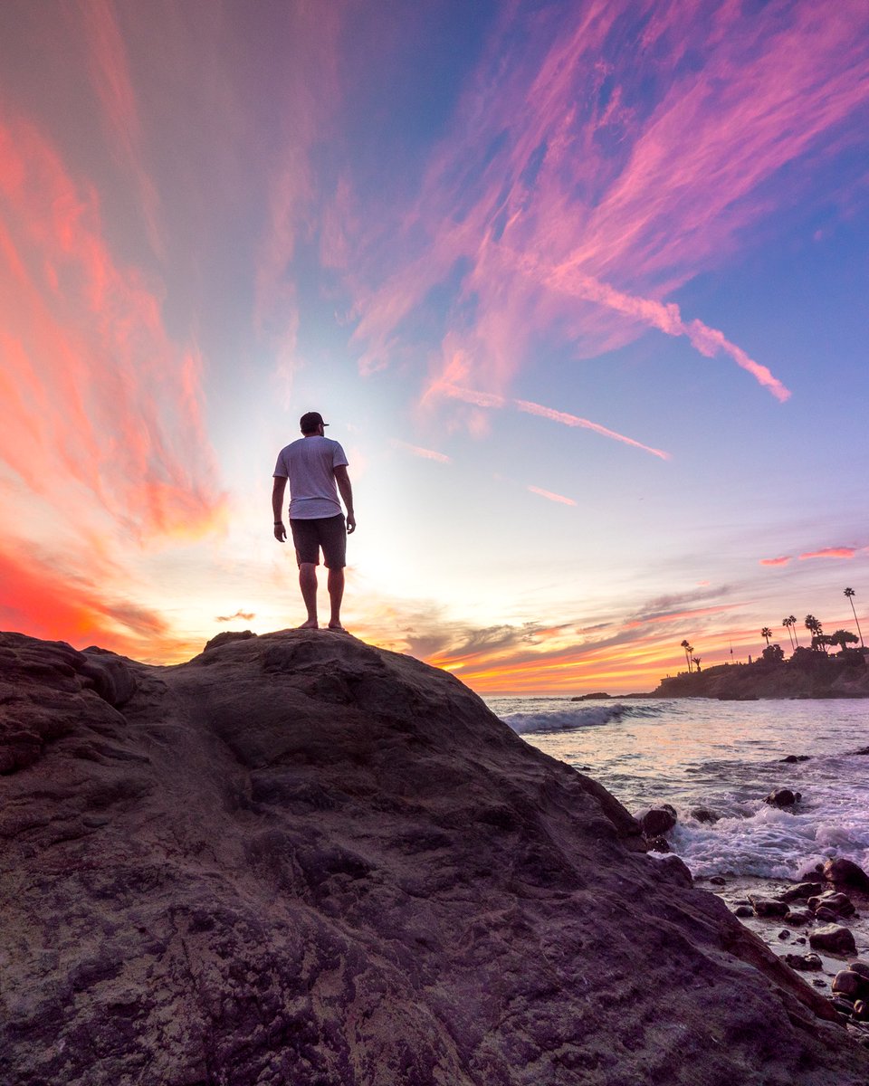 JevenDovey tweet media