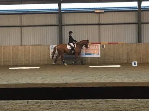 Cam_Equestrian's tweet image. And it’s a win for our Second team today at Writtle college! Individually Fionn 1st, Ellie 2nd and Hattie 8th 🎉 #lightbluelove #goCambridge