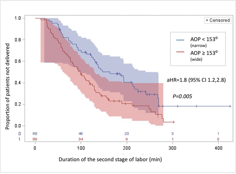 SC Ob/Gyn Society tweet media
