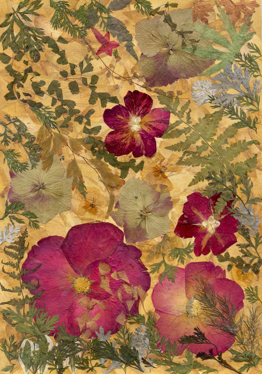 Glirencai's tweet photo. Materials: dried rose petals, hydrangea, carrot leaves, fern and other plants, natural wooden frame https://t.co/GqpR5HFNBb https://t.co/PdrryJmQ7Z