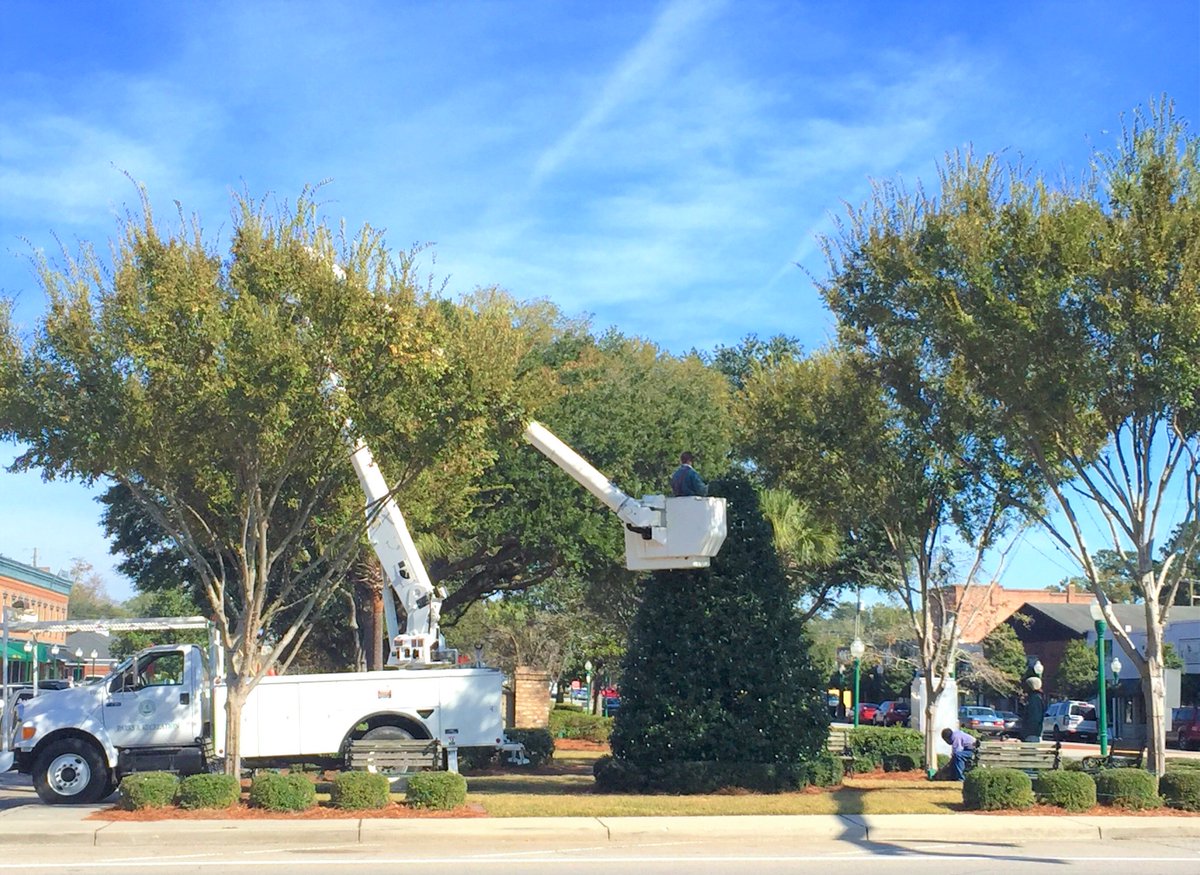 Town of Summerville tweet media