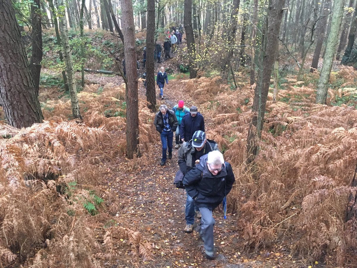 BoswachterEdJ's tweet photo. Vanmiddag #excursie met vrijwilligers @Brab_Landschap naar onze nieuwe aanwinst #Vinkenberg! Mooi gevarieerd gebied! https://t.co/ttYnqPfYHK