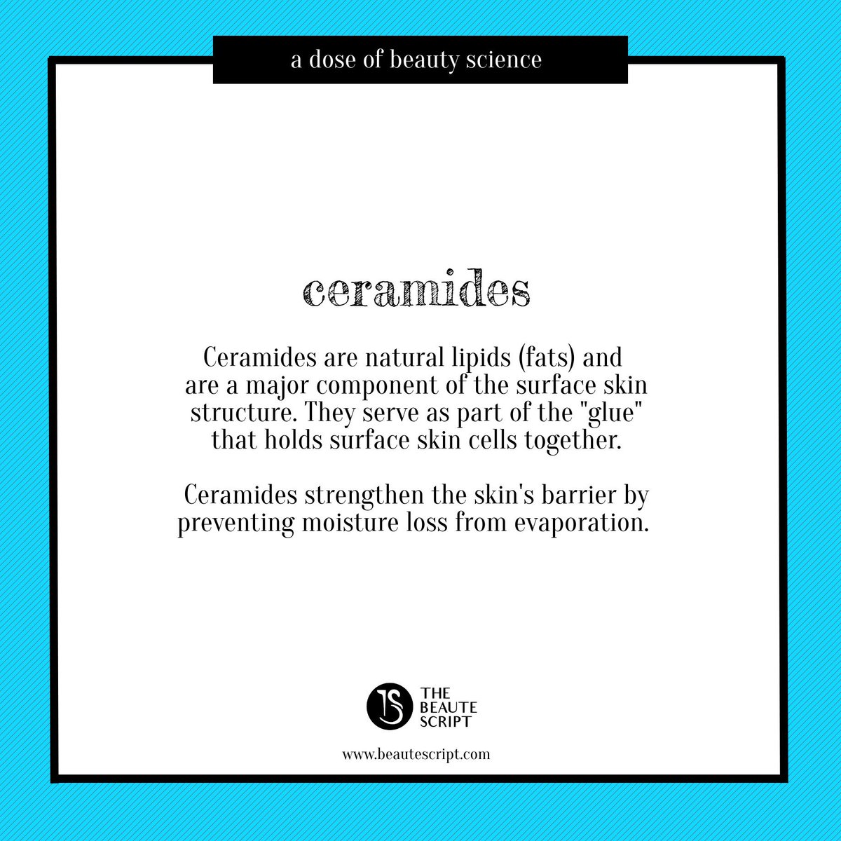 Winter care wouldn’t be the same without this #skin ingredient. <a href="/cerave/">CeraVe</a> <a href="/eltaMD/">EltaMD Skin Care</a> <a href="/DrJartUS/">Dr.Jart+</a> <a href="/PaulasChoice/">Paula's Choice</a> are some of our favorite brands with ceramide-containing products for added hydration and moisture this winter. #skincare #beauty #Review