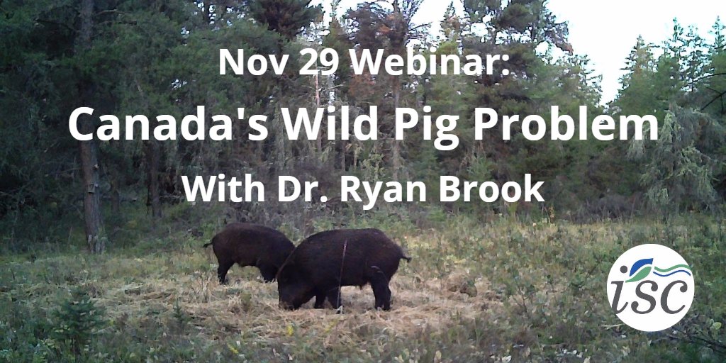 Just 2 wks to go! Register today for Canada's Wild Pig Problem webinar with @RyanKBrook bit.ly/2zXvHEu
<a href="/HorseCouncilBC/">Horse Council BC</a> <a href="/CWF_FCF/">Canadian Wildlife Federation</a> @AgInstitute @CdnCattlemen @BCGovRangelands <a href="/Backcountry_H_A/">Backcountry Hunters & Anglers</a> <a href="/InvSp/">Invasive Species Ctr</a> @OIPC1 <a href="/DToperczer/">Danielle T</a> <a href="/CaribooRD/">CRD</a>