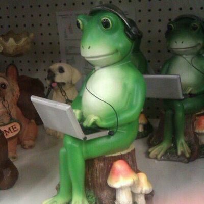 ѕнeep. ⋆ tweet media