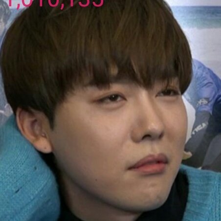 ѕнeep. ⋆ tweet media