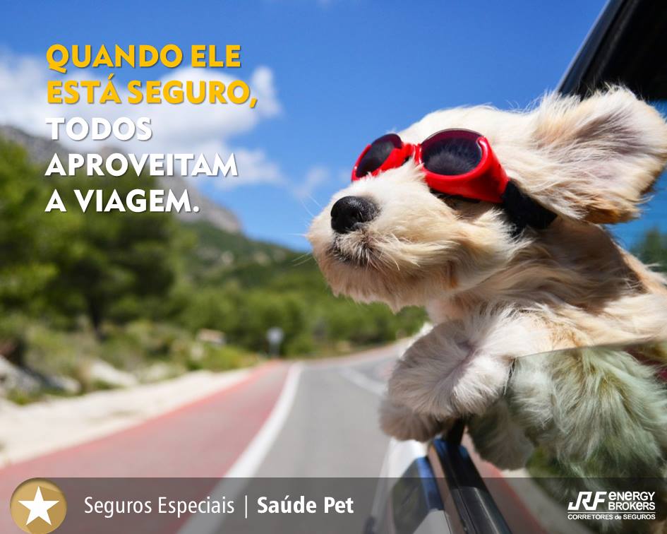 Mais um feriadão para viajar com a família e seu pet. Saiba como transportá-lo com segurança no carro: goo.gl/38y5XR #SeguroPet (11) 4134 2000