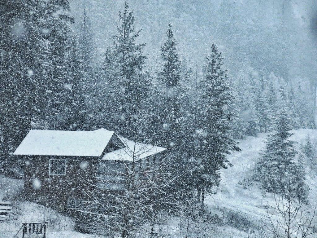 Powder Matt tweet media