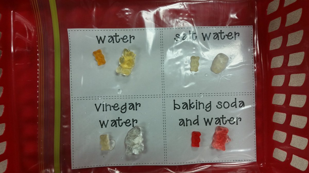 ClassensClass's tweet photo. Gummy Bear Experiment! We love writing like scientists! ❤✍🔎 #wearebriercreek #makingobservations  #writelikeascientist https://t.co/SfO7uOL05h