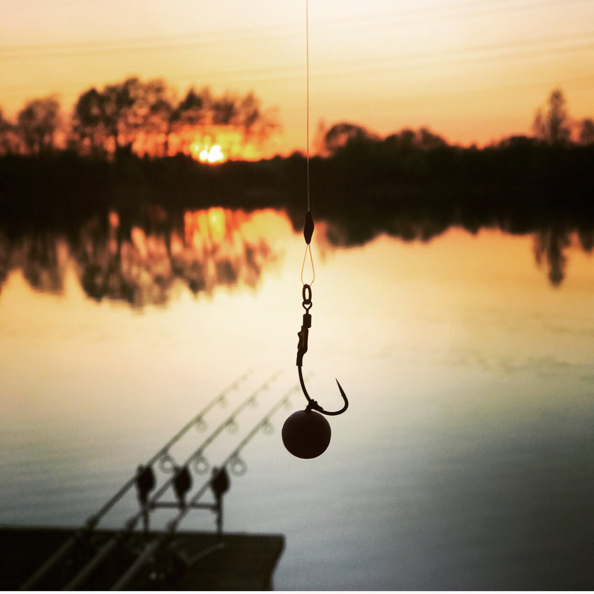 TELBG's tweet photo. Silhouette’s at sunset...... https://t.co/C9VQUZpF8B