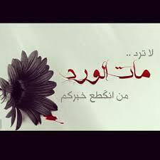 #صورة_ملف_شخصي_جديدة