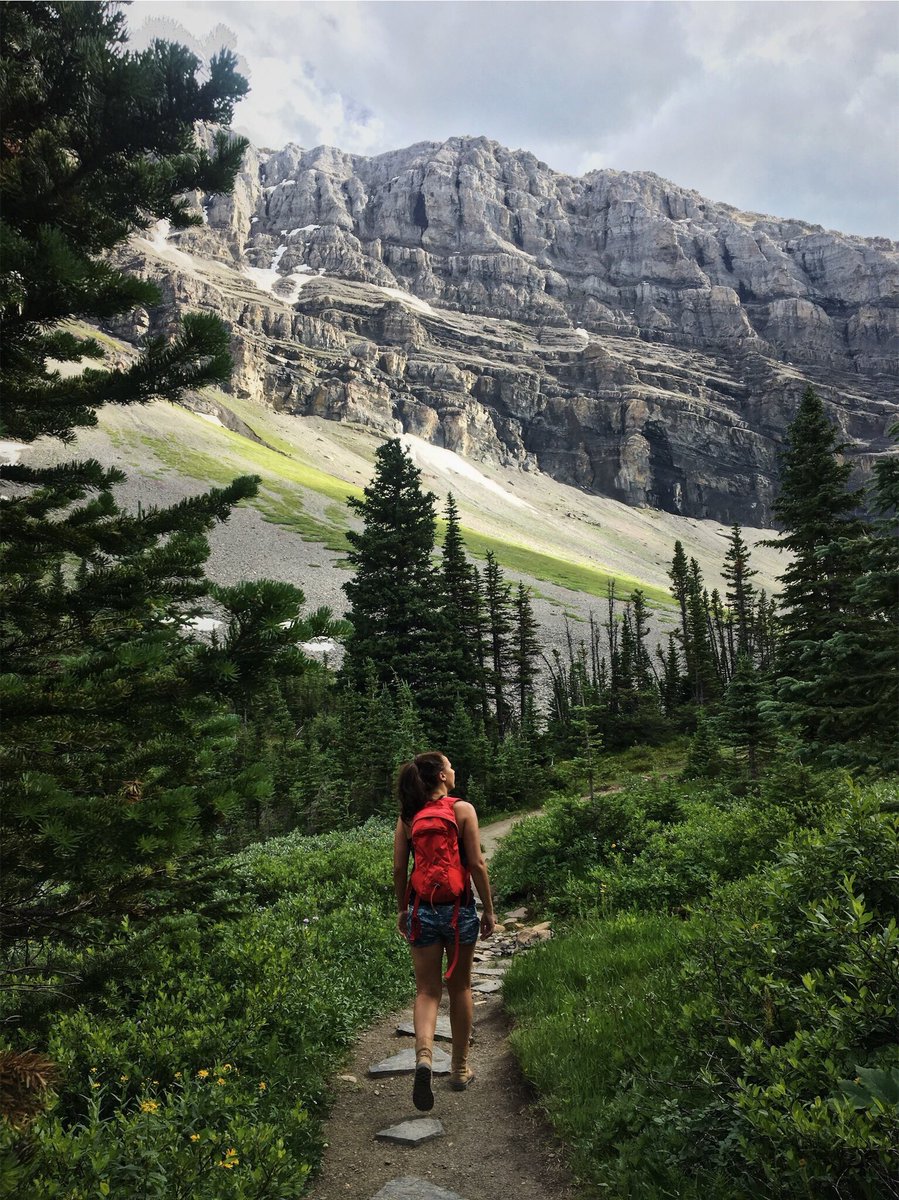 Surrounding yourself in nature can have benefits on both your physical and mental health! #getoutdoors #stayhealthy #becurious #hikersunite