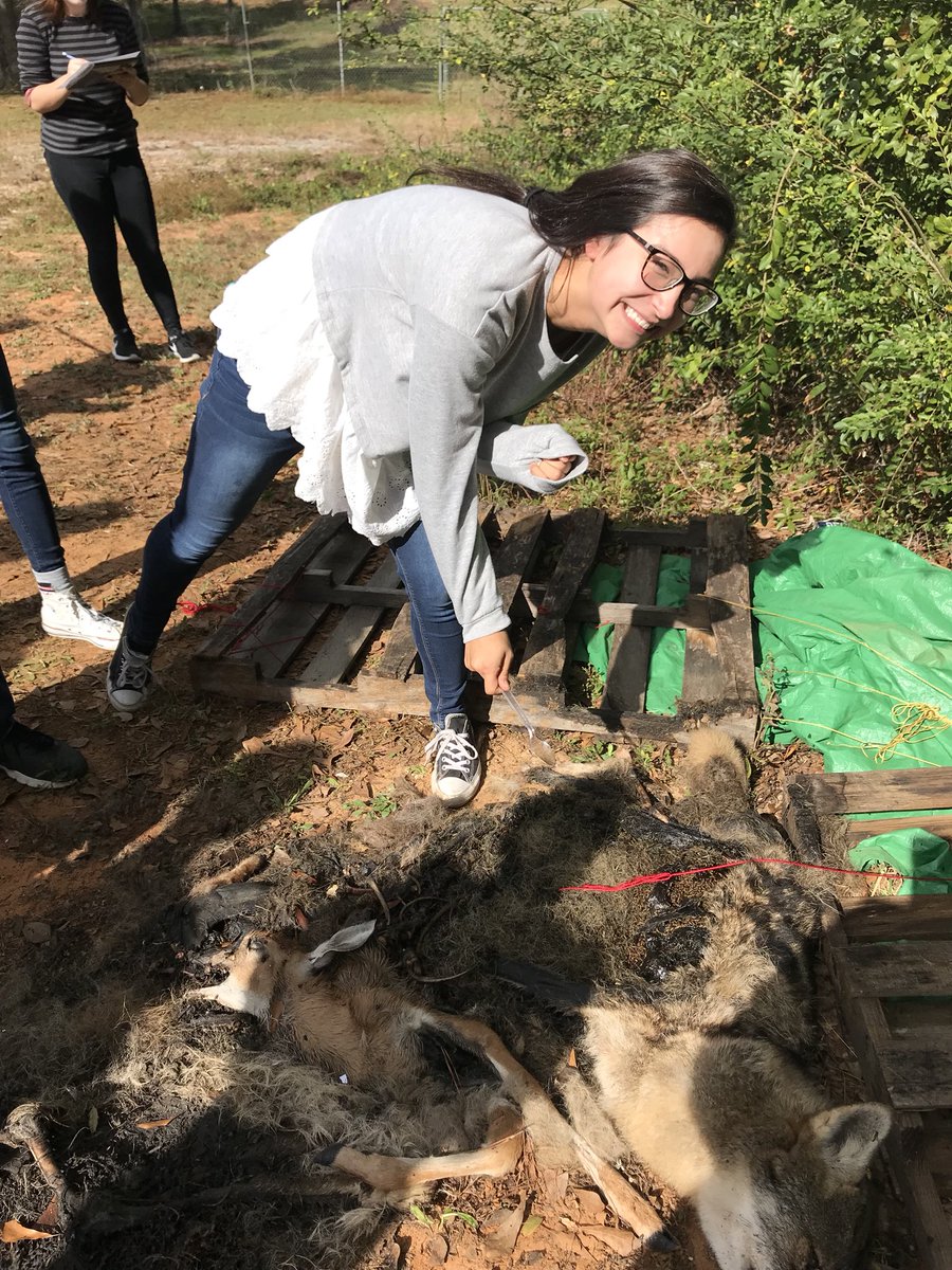 ForensicsEHS's tweet photo. Forensics Entomology!  Great day only 3 got sick!  #ECSLearn. @enterpriseschools https://t.co/Z2ZQMfBBIM