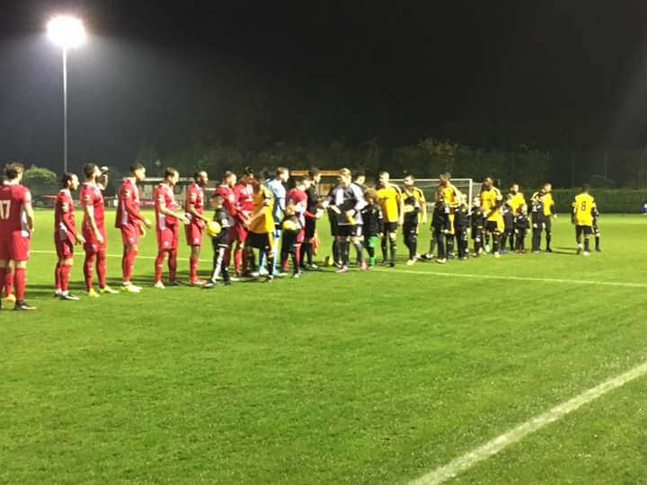 Merstham fc mascots for last night's match v Billericay Town