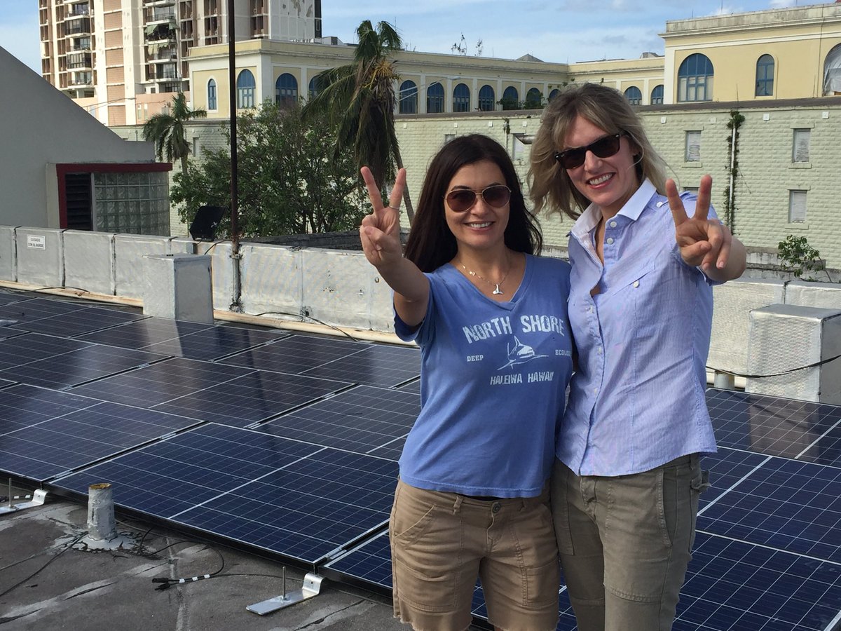 marco krapels tweet media