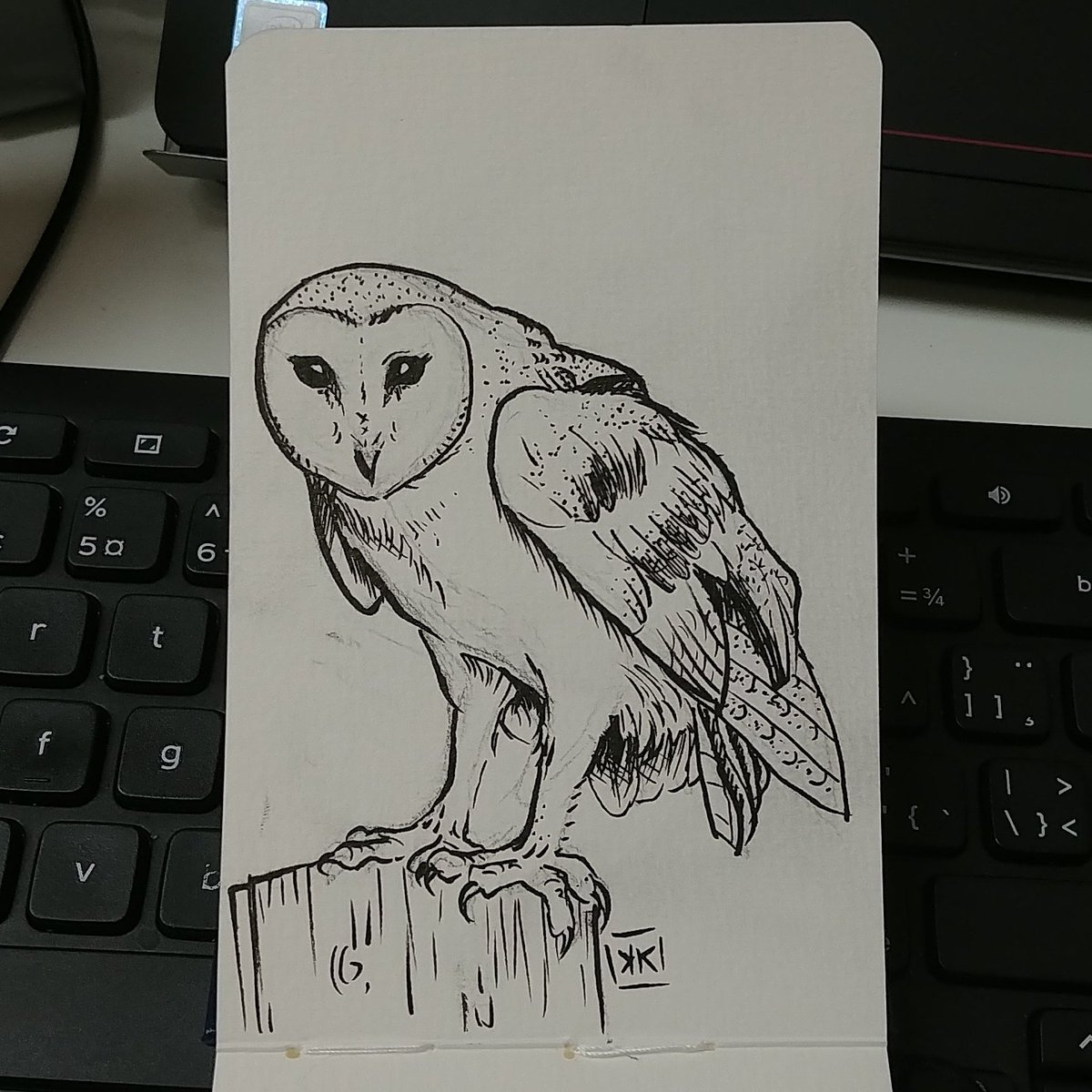 A #tinysketch of A barn owl. They are so cute. #art #sketchbook #ink