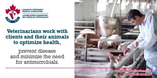 ManitobaVets's tweet photo. Veterinarians work with clients and their animals to optimize health, prevent disease &amp; minimize the need for antibiotics #VetCareEverywhere https://t.co/bjlXexyA7b