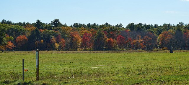 VisitMA's tweet photo. Skip the malls the day after Thanksgiving and #OptOutside to hike off that turkey dinner- admission & parking to all @thetrustees outdoor sites is free! #fallMA https://t.co/dqVf3IZ6zQ https://t.co/rovgKfNozw
