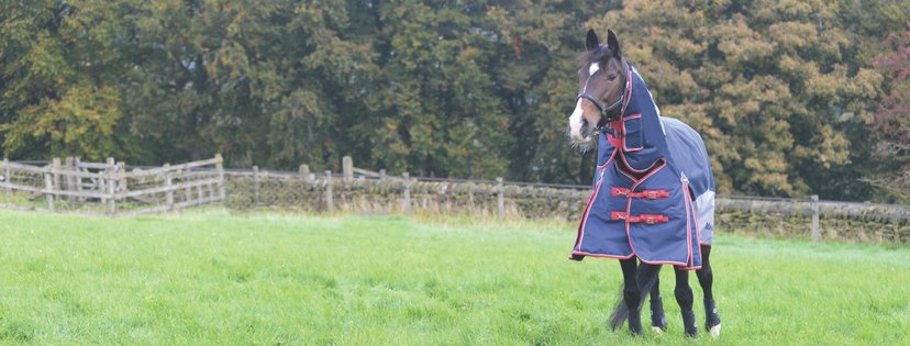 MastaRugs's tweet photo. The #Fieldmasta features a full chest adjustment to fit perfectly to your horse! https://t.co/gW2qvQx6ze https://t.co/6NQEO8A65j