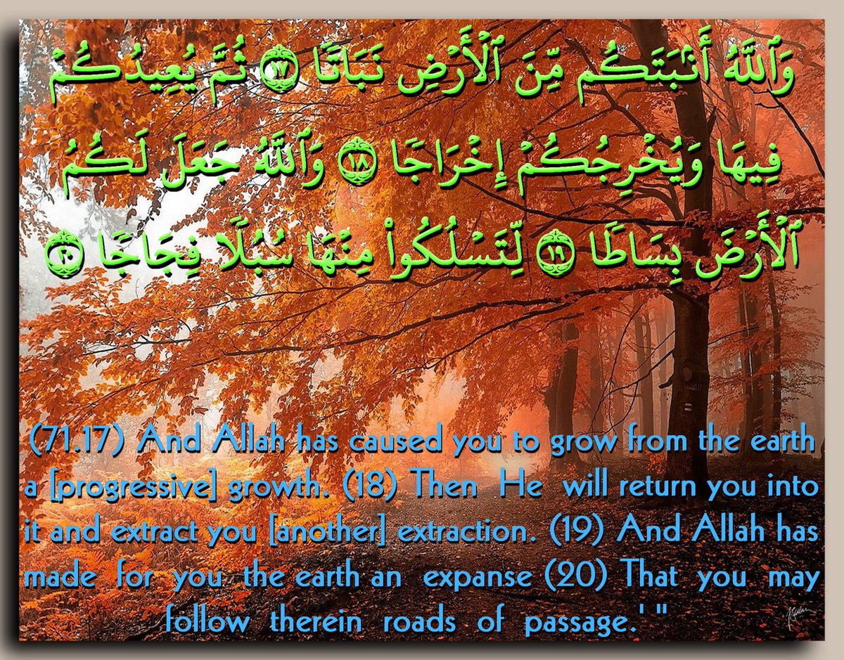 weddode's tweet image. Rtw8.com