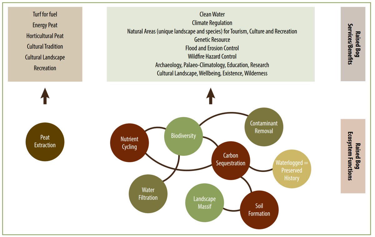 Tweet about Peat #3: Left intact #peatlands provide a whole range of #ecosytemservices e.g in Ireland they store an estimated 1,565 million tonnes of #carbon.  #climatechange