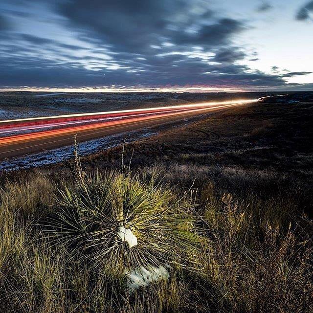 visitsemontana's tweet photo. ...Rooted in adventure. 📷: @nathansatranphoto .
.
.
.
#VisitSEMT #southeastmontana #onlyinsemt #montanamoment #mysemt #prairielife #yucca #… https://t.co/0kOb9RQh99