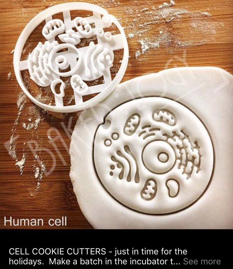 Christmas wish list? #nerdalert #cookies #baking