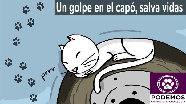 Con el frío ❄, los 🐈🐱  se cobijan 💤 en las ruedas de los coches 🚘 aprovechando el calentor del motor. 
Antes de arrancar💨, avísales con un golpe de que es el momento de buscar otro cobijo.