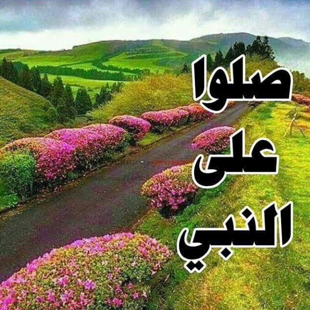 اناابحث عن انسانه جاده وصادقه كي اتزوجها من جيزان (@thdbbiv45agthg3) on Twitter photo 