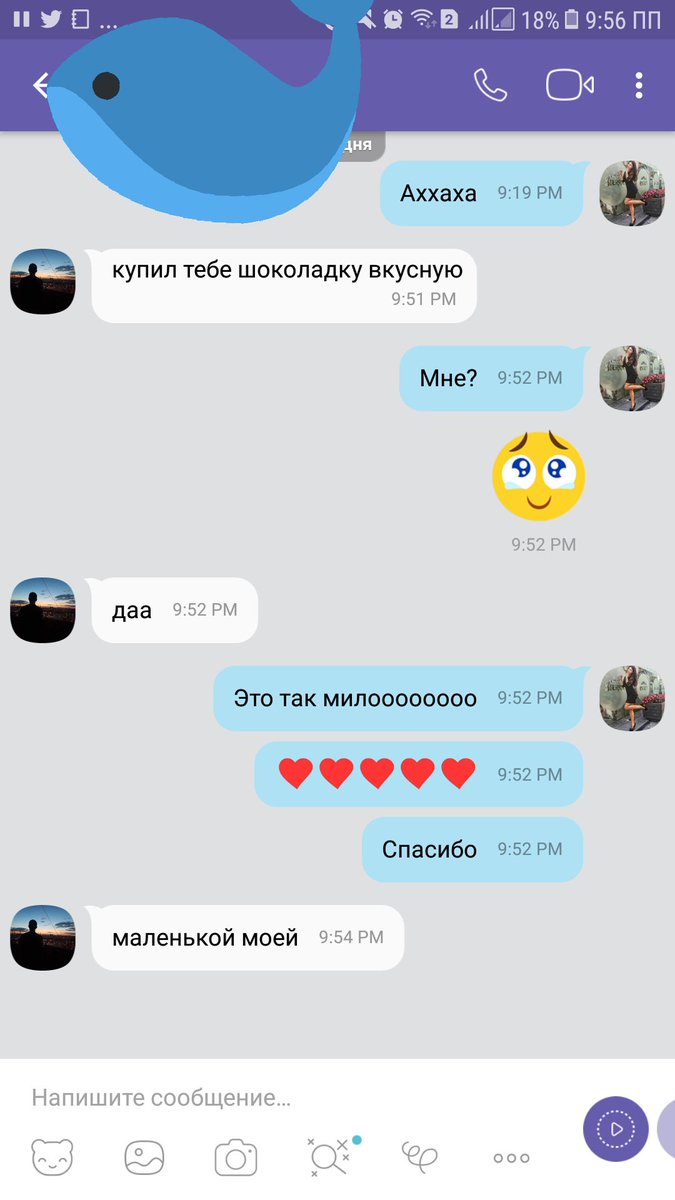 Litviiinenko's tweet photo. Когда он злится на тебя, но все равно делает приятное 😍❤ https://t.co/DLfqquQjWv