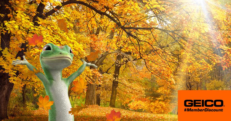 “Fall” into savings on auto insurance with our partners <a href="/GEICO/">GEICO</a>! #MemberDiscount bit.ly/gePHIOTA #MemberDiscount
