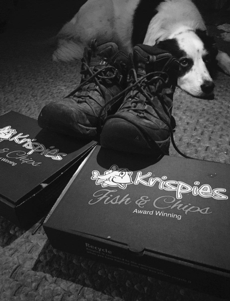 SandyPawsDevon's tweet photo. A total of 18 dogs today! 3 x hour long group walks; 2 x toilet break visits; 1 x 30 minute puppy walk; 26,522 steps; 13 miles walked. Finished off with @KrispiesExmouth &amp; an ale with Mrs Sandy Paws #tiredpaws #dogwalks #dogwalker #dogboarding #eastdevon #adventure @Devon_Hour https://t.co/XUOgan2jT0