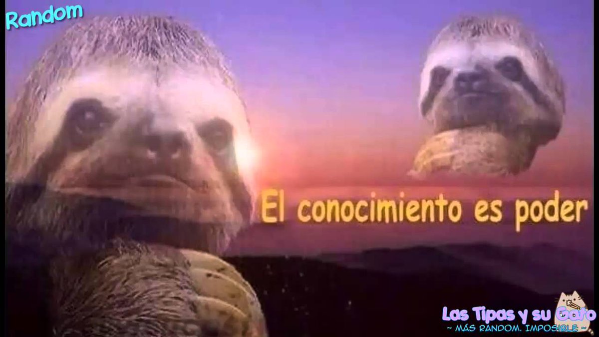 vocalsofprey's tweet image. "Y se supone que Harlen, es Harley en hombre. Ahora todo tiene sentido." #SV