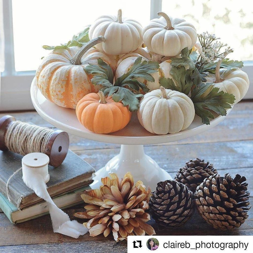 Lovely fall #stilllifephotography from @claireb_photography. 🍂🍁🍃 #artlicensing #photography #photographersofig #fa… ift.tt/2iXGCTM