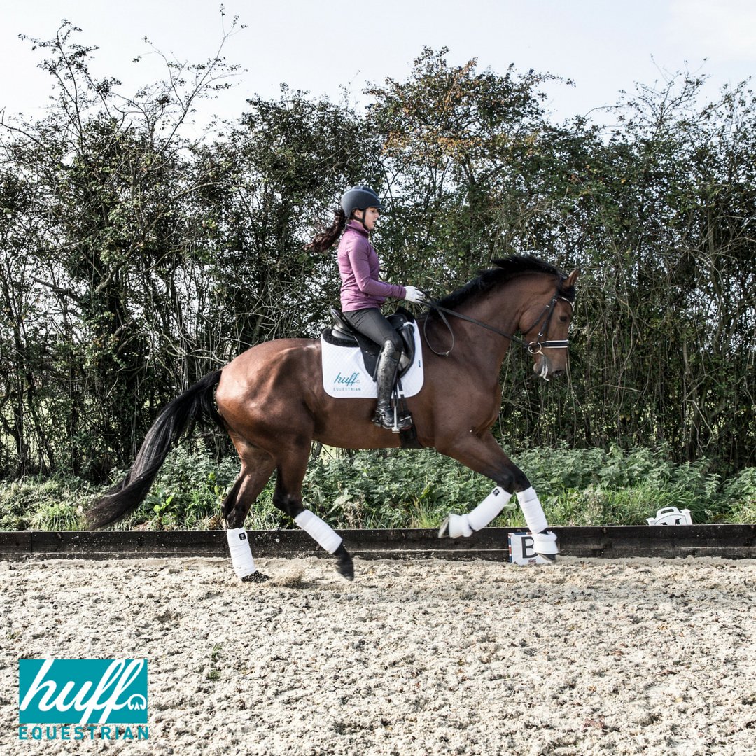 Huff Equestrian tweet media
