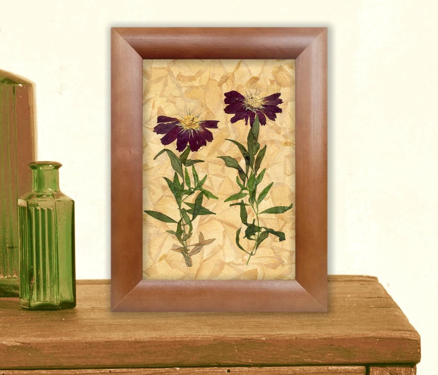 Glirencai's tweet photo. Beauty Flowers, Dried Flower Art, Flower Decor, Pressed Flowers https://t.co/nMes56RS6M https://t.co/cqIUPNh3gE