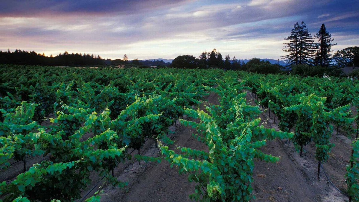 Today is National #ZinDay!  Help us celebrate America’s heritage wine by posting your favorite Zinfandel! Use #ZinDay and you could win a Zinfandel Fan Pack! #NationalZinfandelDay #ZinDay