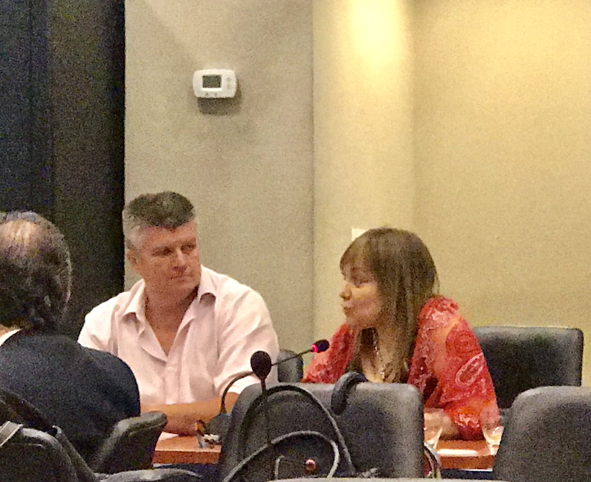 myrian_juarez's tweet photo. Participando  #Reunión Com Finanzas, Legislación General y Presupuesto, funcionarios de @MinHaciendaAr exponen sobre proyecto Financiamiento Productivo y de Desarrollo Mercado de Capitales Argentinos @eduardoamadeo exponiendo @EconomiasReg @_AlexZiegler @EquipoIngSnopek https://t.co/JOcKrqGiOI