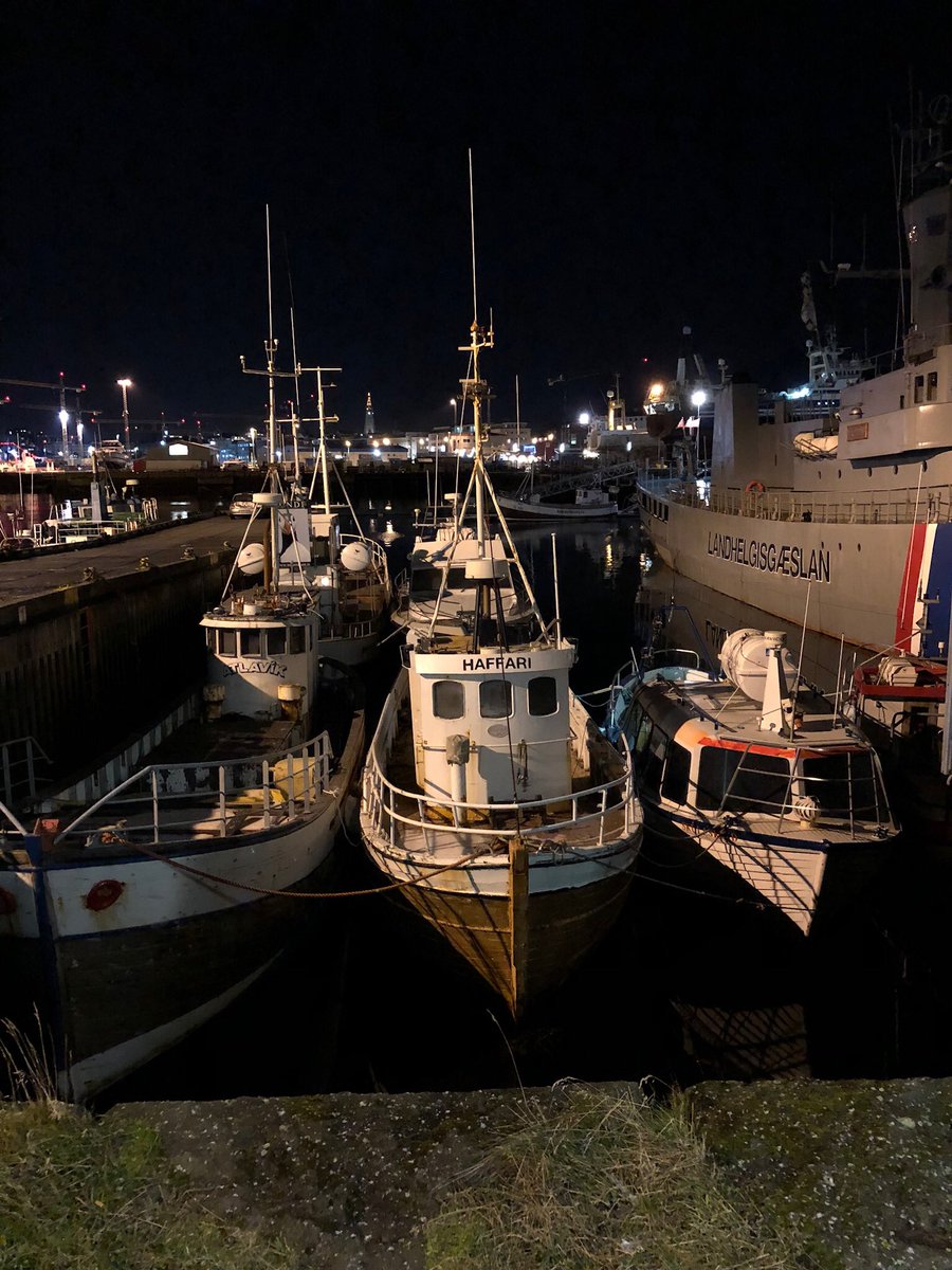RobTaylor6300's tweet photo. First night in Reykjavik - the sun came out as we landed, we wandered the harbor, ate, drank, saw some northern lights and I made a new friend. #travelisfun  #Icelandiscool https://t.co/UFRztuaMXg