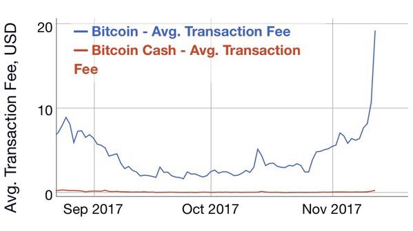 Roger Ver On Twitter The Goal Is Not That Everyone Can Afford To - 