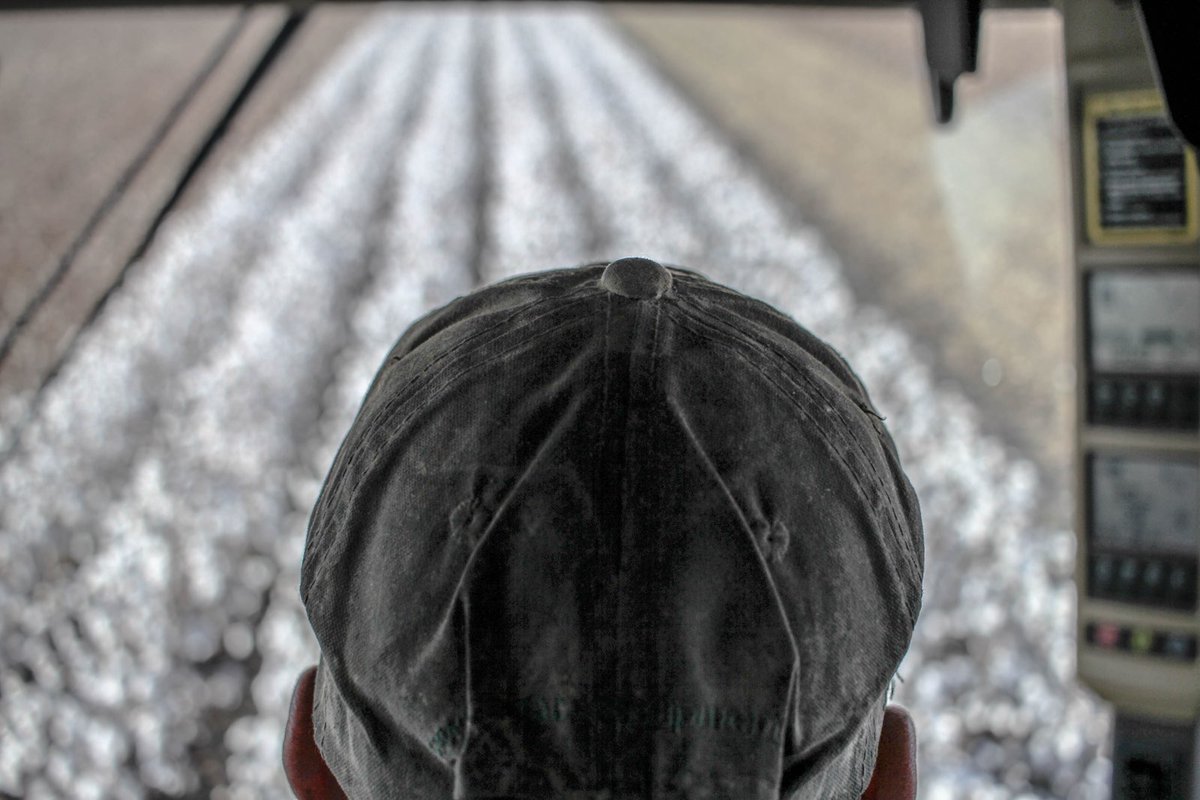 agxplore's tweet photo. AgXplore is growing.  We are looking ahead, monitoring our results and delivering high quality products across the nation.  If agriculture is in your genes and you're up for a challenge, lets talk about growing your career.  #harvest17 https://t.co/iJhMmt9rMd