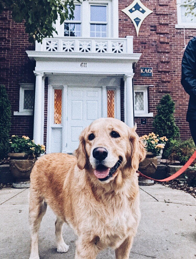 Will fetch for thanksgiving break