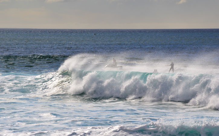 Gonazare tweet media