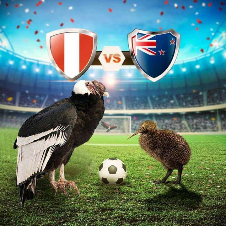 ecastilloalva's tweet photo. Hoy la casa se respeta ¡¡ ARRIBA PERÚ !! https://t.co/PDWx4AWEU7