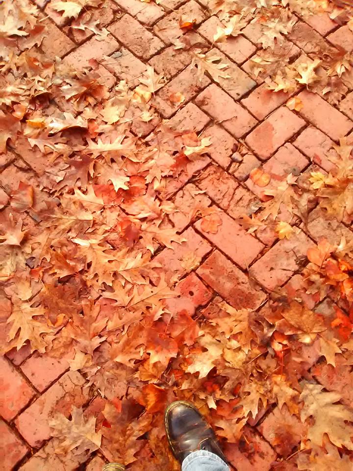 WHMcIntyre's tweet image. All these quiet miracles
They are so obvious,
We never see them.