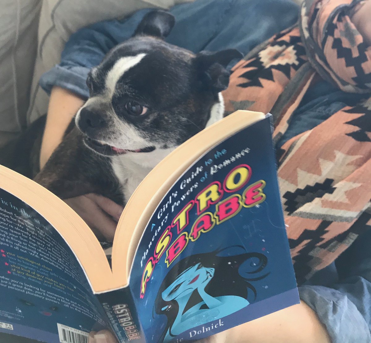 RLTAgency's tweet photo. Babe wants you to know it's not too late to sit down with ASTRO BABE by @BarrieDolnick and have a good #SelfDiscoverySession. You may be surprised by what you find...clearly Babe was. #BabeReadingThings #AstroBabe https://t.co/7MI64xqqyU