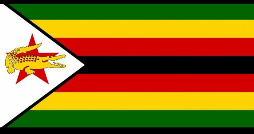 authenticdavina's tweet photo. Who did this Zimbos?? I can't deal #softcoup #kutongakwaro #2017revolution #zimbabwe #zimflag #thisflag https://t.co/2mTbt324P7