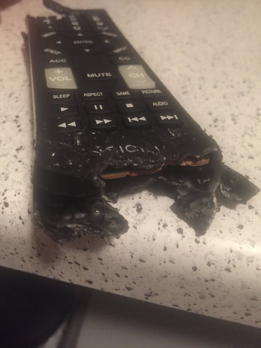 BragoDoggo's tweet photo. I think for dinner I’ll have some nice tv remote with a side of flip-flop. https://t.co/ei5mCOHIDI