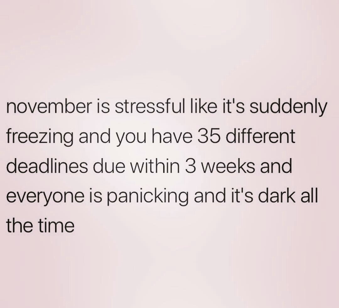 MandyGautsch's tweet image. 😂😂😂 #ButReallyThough